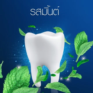 [ซื้อ 2 ฟรี 1] ออรัลบี ไหมขัดฟัน เอสเซนเชียล ฟลอส 50 เมตร ORAL-B ORAL B FLOSS ESSENTIAL FLOSS 50 METERS