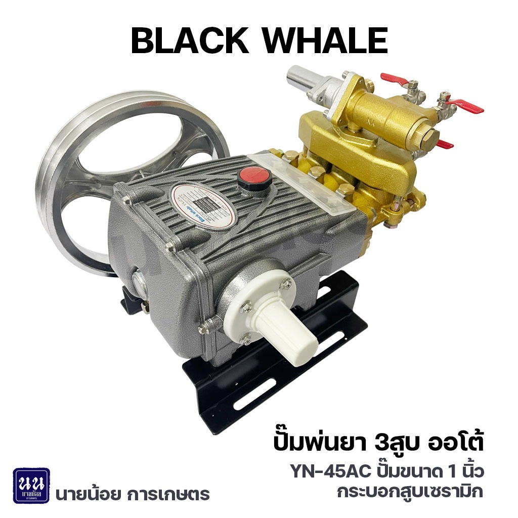 ปั๊มพ่นยา 3สูบ 1นิ้ว Black Whale YN-45AC เซรามิก (ออโต้)