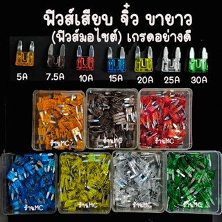 ฟิวส์เสียบ จิ๋ว ขายาว (ฟิวส์มอไซต์) 100 ตัว ฟิวส์เสียบจิ๋ว ข…