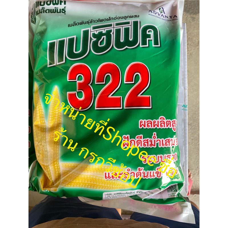 1,250(ทักเพจร้านค้าโก๊แอ้)เมล็ดพันธุ์ข้าวโพดฝักอ่อนแปซิฟิค 322 3หุน 5กิโล จำนวน 1ถุง