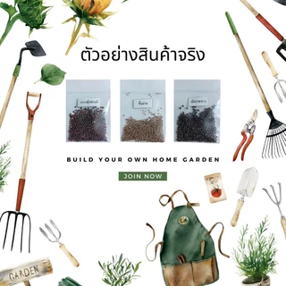 10แถม1 เมล็ดพันธุ์ผัก เมล็ดผักสวนครัว ปลูกง่ายโตไว เมล็ดผักใหม่ รับประกันการงอก Farmjn