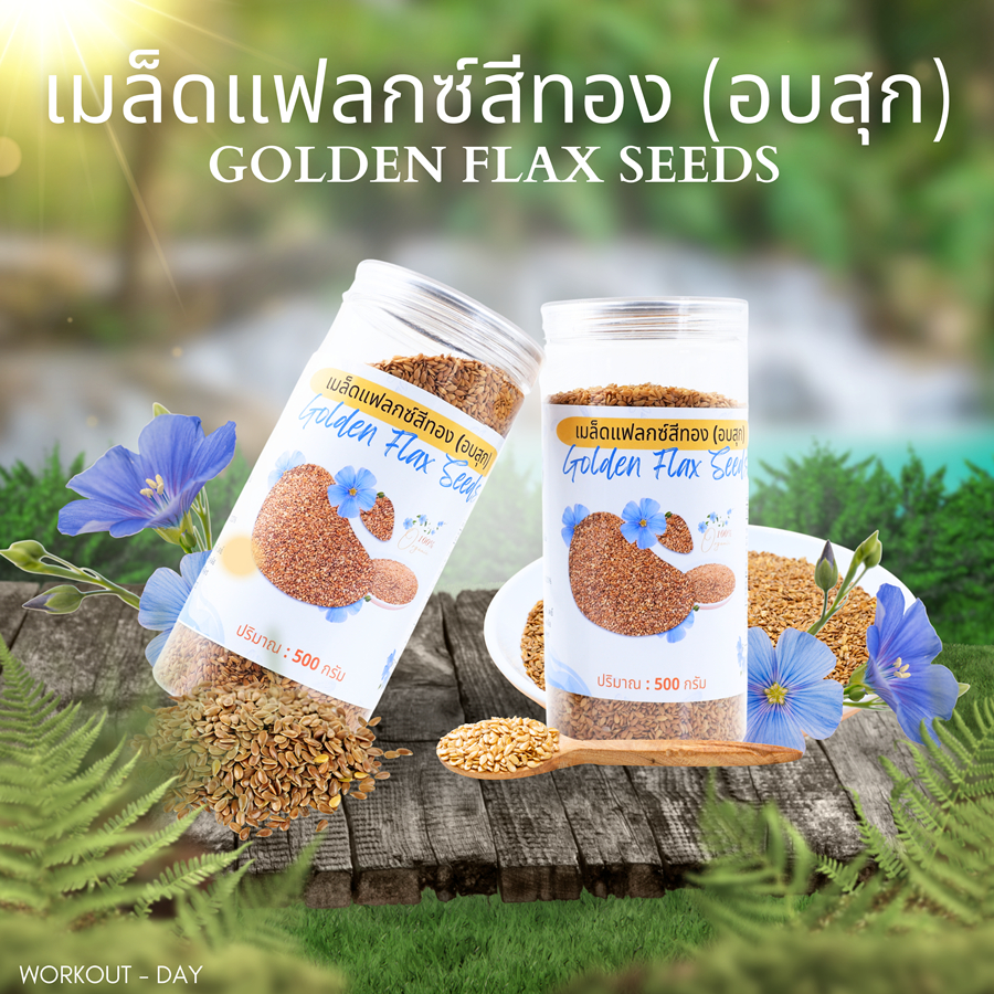 เมล็ดแฟลกซ์สีทอง(อบสุก) Flax Seed บรรจุกระป๋องเกลียว ขนาด500กรัม