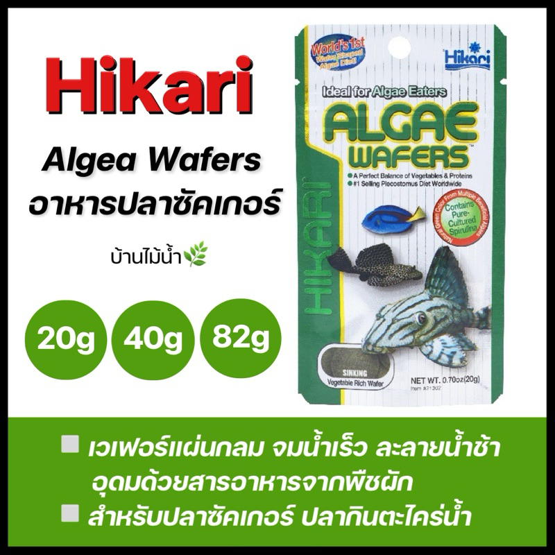 Hikari Tropical ALGAE WAFERS อาหารปลาน้ำจืด ปลาซัคเกอร์ ปลากินตะไคร่น้ำ ฮิคาริ | บ้านไม้น้ำ🌿