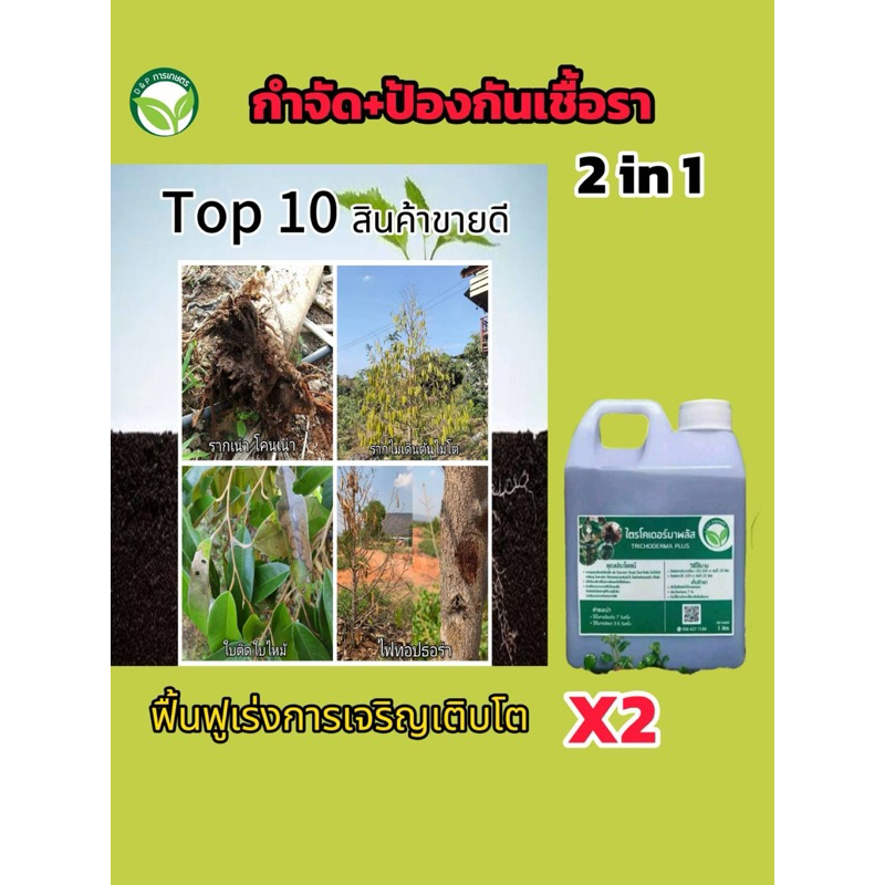 ไตรโคเดอร์มา พลัส 2in1 ขนาด 10 ลิตร-10000cc กำจัด-ป้องกันโรคเชื้อรา+ฟื้นฟู ราคา ถูกที่สุด ดีลบีเคเค แกลเลอรีภาพที่ 2