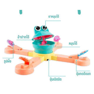 Feed the Frog Game ของเล่นกบผจญภัย เกมกบงับแมลง เกมให้อาหารกบ กบกินผึ้ง เล่นได้ 1-4 คน เสริมสร้างจินตนาการของเด็ก