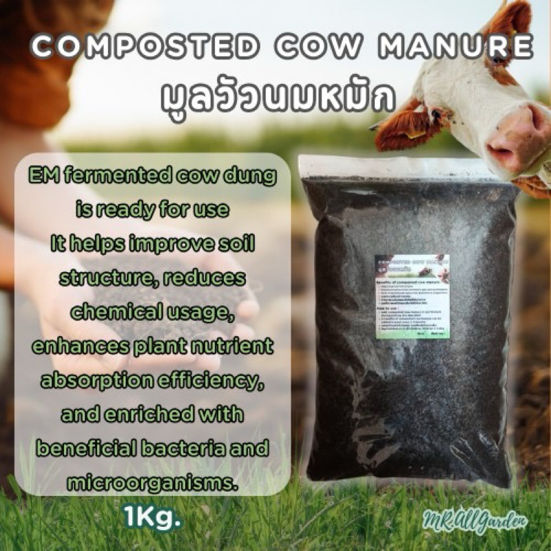 ขี้วัวหมัก 1kg. ปุ๋ยคอก ผ่านกระบวนการหมักและย่อยสลายโดยธรรมชาติ ไม่มีกลิ่นรบกวนและสารเคมี compost cow manure