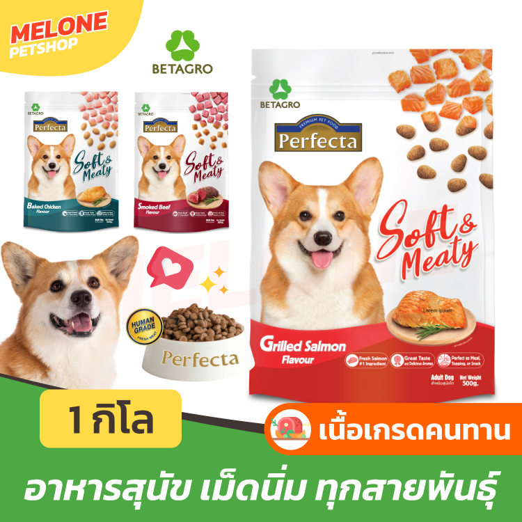 [ล็อตใหม่] Perfecta Soft & Meaty อาหารสุนัข เพอเฟคต้า ซอฟต์ สุนัขโต เม็ดนิ่ม เม็ดเล็ก รส ไก่ เนื้อ แซลมอน 1kg