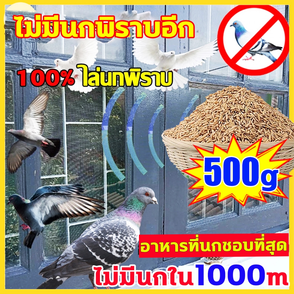 บอกลาขี้นกที่กวนใจ ยาเบื่อนก นำเข้าจากอเมริกาเหยื่อกำจัดนกวัน กันฝน กันแดด เหยื่อกำจัดนกพิราบ  ยากำจัดนกพิราบ – โปรปัง