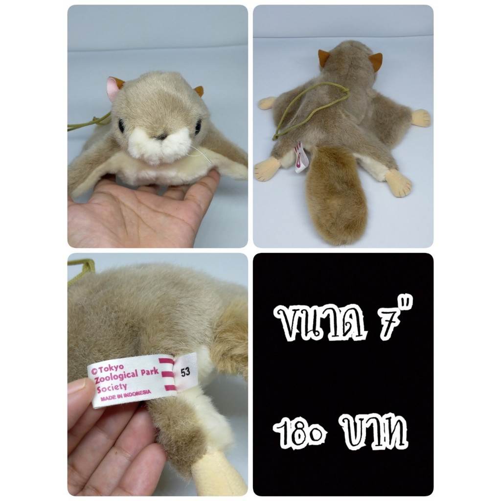 Ueno Zoo Flying Squirrel#กระรอกบิน#ชูก้าไรเดอร์#Squarrel#ตุ๊กตาญี่ปุ่นมือสอง