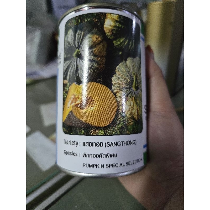 เมล็ดฟักทอง คัดพิเศษ แสงทอง ขนาด 30 กรัม ตรา ซีดไลน์ seedline