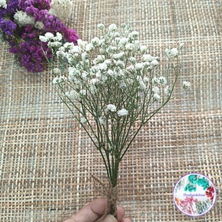 ดอกไม้แห้ง ช่อมินิ ช่อดอกไม้แห้ง ช่อยิปซี สเตติส สุ่ย แคสเปี…