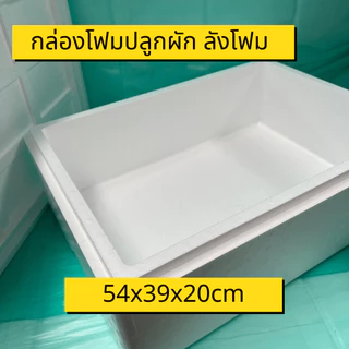 กล่องโฟมปลูกผัก กล่องโฟม ลังโฟม ปลูกผักไฮโดร กล่องใส่กุ้ง กล่องลังโฟม กล่องกุ้ง 10KG. ไฮโดรโปนิกซ์