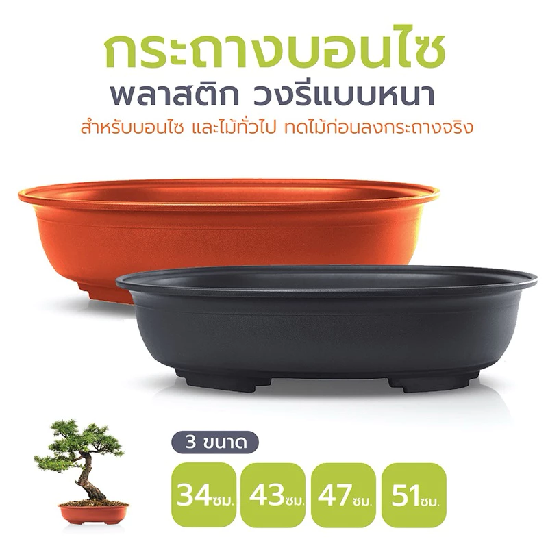 กระถางพลาสติกบอนไซ แคตตัส ไม้ดัด และไม้ทั่วไป ทรงรีเนื้อหนา (PE)