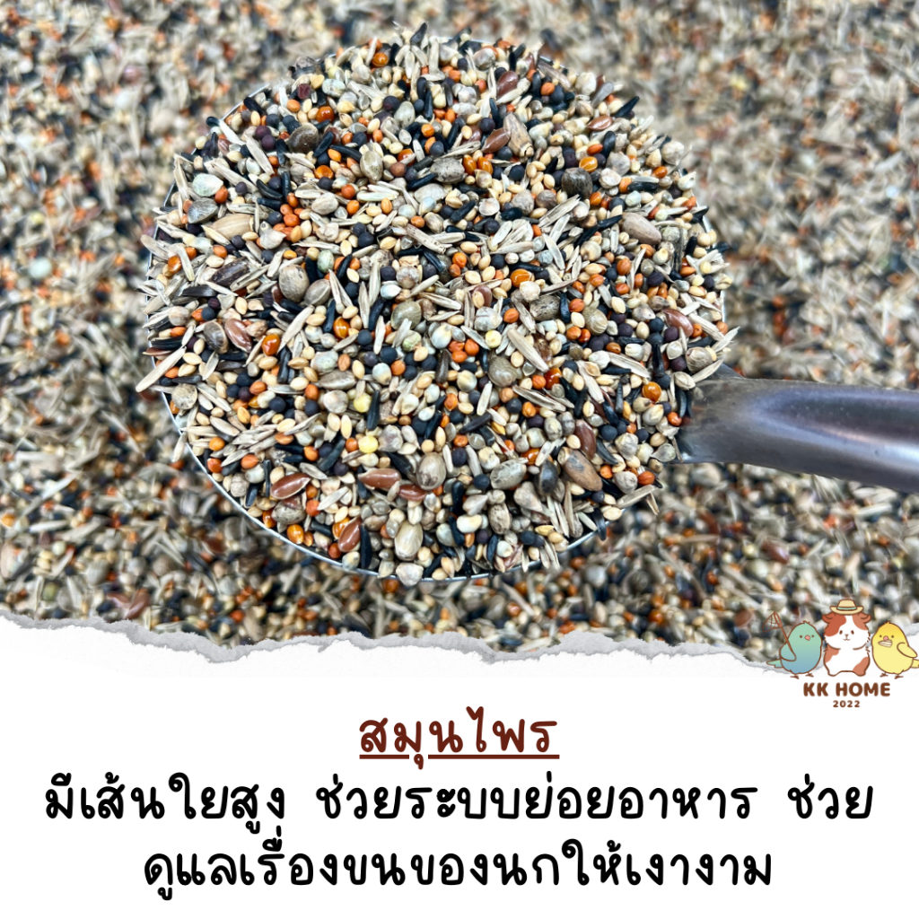 อาหารเสริมสมุนไพร HEALTH SEED MIX สมุนไพร สมุนไพรนก 100 / 250 กรัม