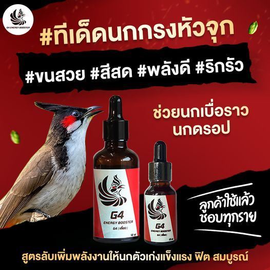 วิตามินบำรุงนกหัวจุก G4 สูตรเลี้ยง ขนาดทดลอง 15ml. สูตรเลี้ยง 50ml. วิตามิน G4X อาหารเสริมนก กรงหัวจุกสูตรเร่งร้อง 20ml.