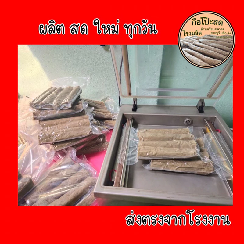 #กือโป๊ะสด #กรือโป๊ะ #ซามารอเด็ง 1แพคน้ำหนักประมาณ 900-1000g (ไม่รวมน้ำจิ้ม) ผลิตสดใหม่ทุกวัน ส่งตรงจากโรงงานสายบุรี thumbnail 9