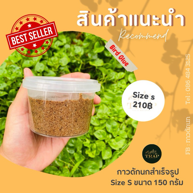 กาวดักนก สำเร็จรูป ใช้สำหรับดักนกได้ทุกชนิด