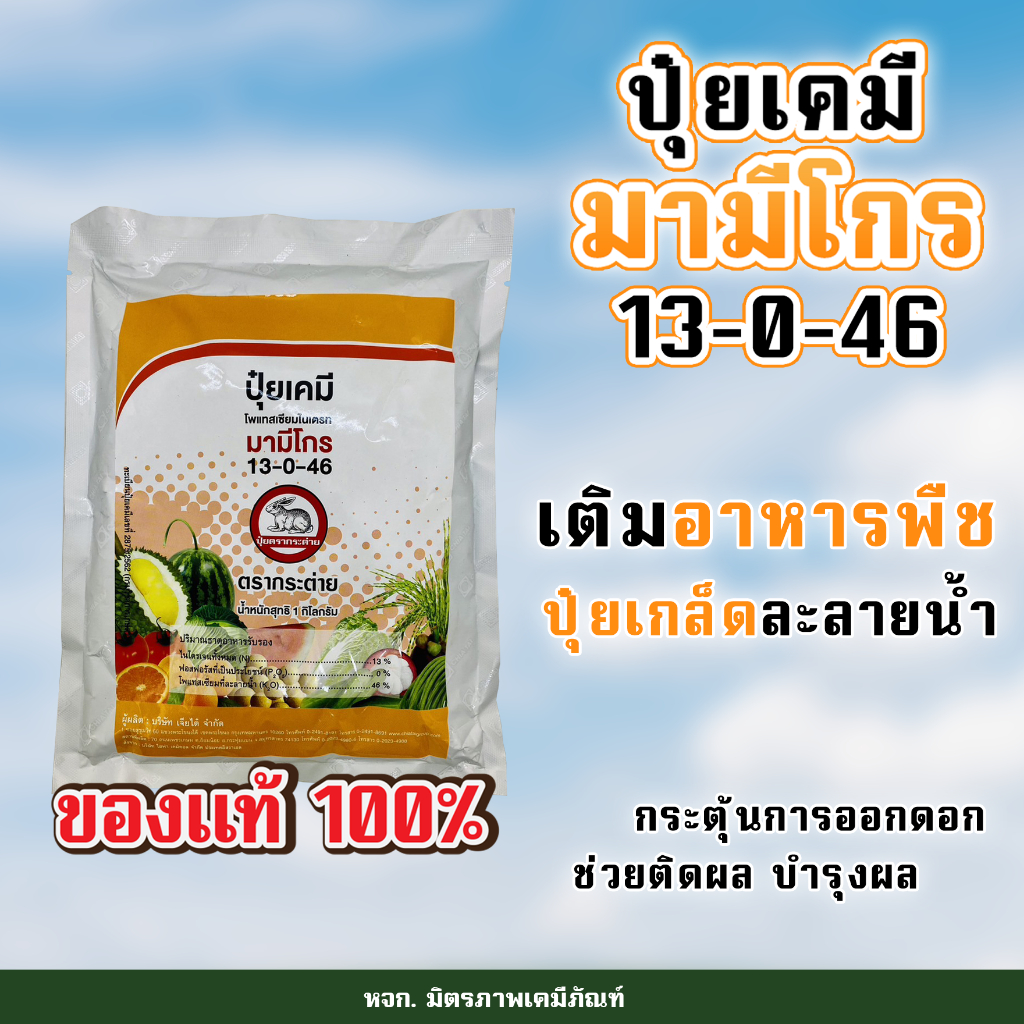ปุ๋ยเคมี มามีโกร สูตร 13-0-46 ตรา กระต่าย ( Fertilizer 13-0-46 ) สูตรกระตุ้นให้ติดดอกสม่ำเสมอ ช่อดอกสมบูรณ์ ผลผลิตเต็มที