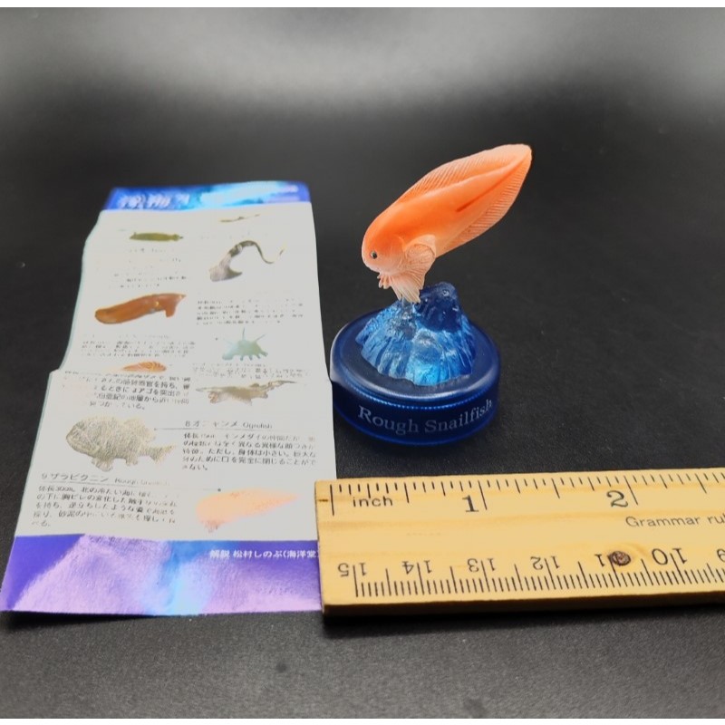 ฟิกเกอร์ สัตว์จิ๋ว ปลา สเนลฟิช ปลาที่มาจากมหาสมุทรลึกสุดขั้ว  Rough Snailfish Kaiyodo Bottle Cap Mini Figure  fish Cute
