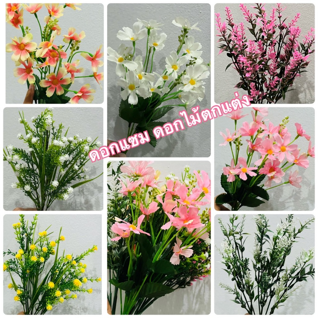 ดอกแซม  พุ่มสวยๆๆ ดอกเยอะ 45ดอก ดอกแซม ตกแต่ง ช่อหญ้าแซมยิปโซ หญ้าแซมยิปโซ พิกุล หญ้าตกแต่ง เดซี่ ใช้จัดดอกไม้ ตั้งโชว์