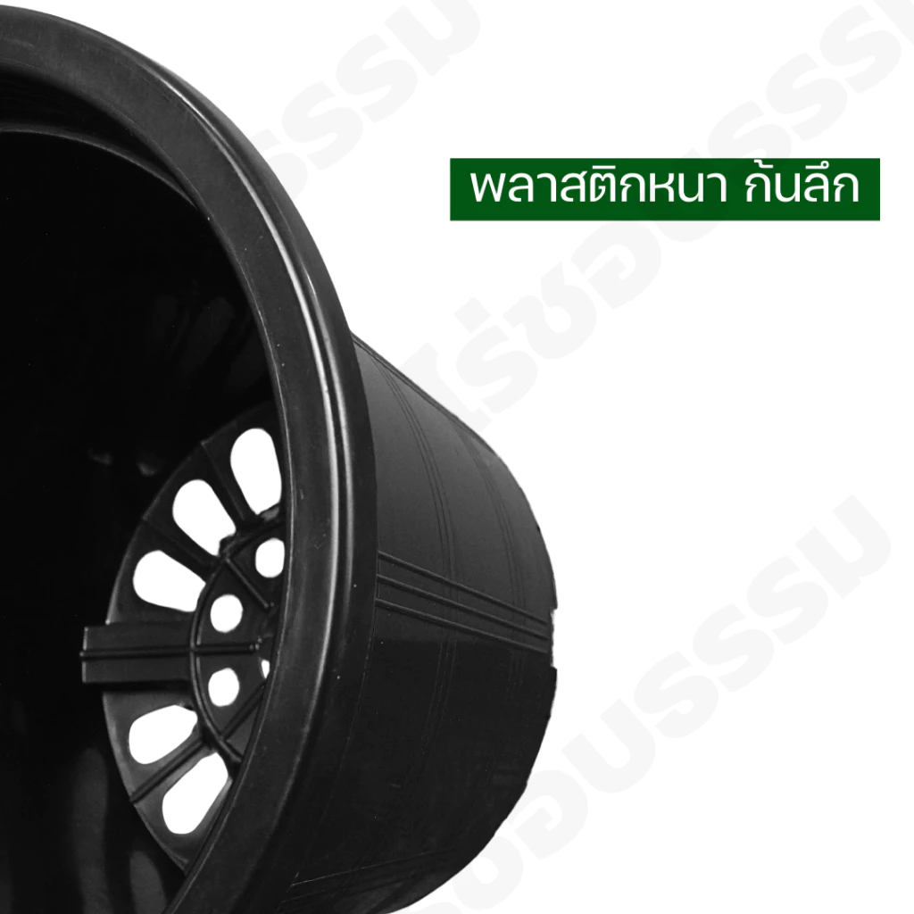 กระถางต้นไม้พลาสติก กระถางกระบองเพชร กระถางแคคตัส 4นิ้ว 6 นิ้ว 8 นิ้ว 10 นิ้ว thumbnail 4