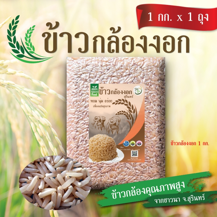 ข้าวกล้องงอก กาบ้าไรซ์ (GABA Rice) ขนาด 1 กก.