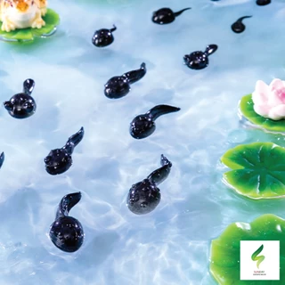 แม่กบ ลูกกบ ลูกอ๊อด น่ารัก Micro-landscape Creative สำหรับตกแต่งสวนถาด ตกแต่งบ้าน อื่นๆ