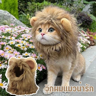 พร้อมส่ง✅ หมวกแมว หมวกสุนัข สไตล์สิงโต