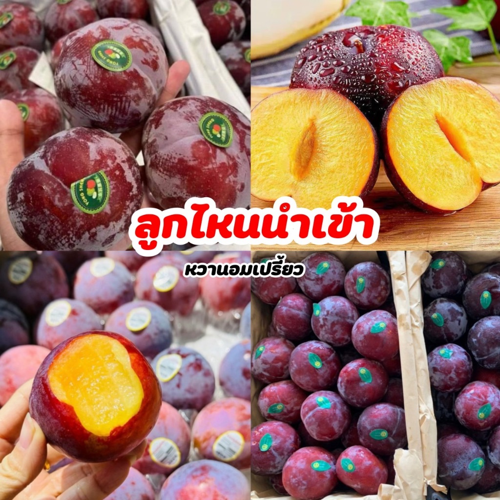 ลูกไหนนำเข้า 1kg ลูกพลัม หวานอมเปรี้ยว สามารถทานดิบทานสุกได้ค่ะ