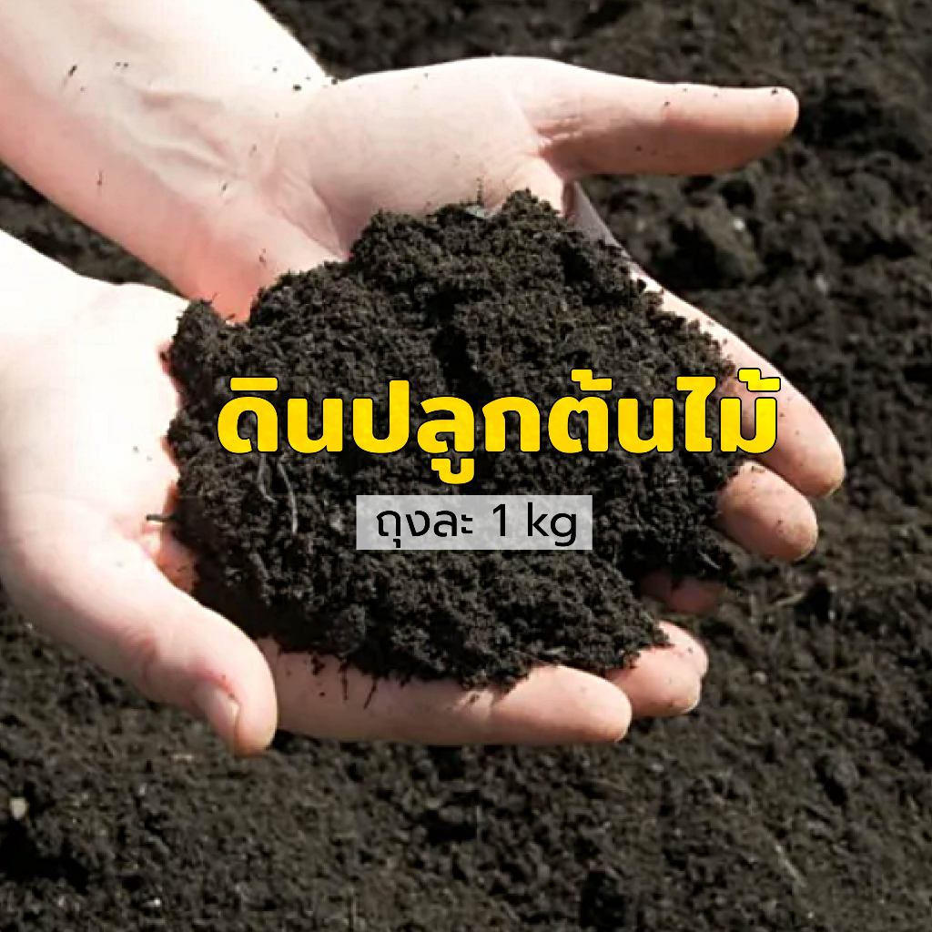🌱 ดินพร้อมปลูก 900g. (ใช้ปลูกต้นไม้ทุกชนิด) ดินปลูกต้นไม้ ดินไม้ประดับทุกชนิด ดินปลูกสำเร็จรูป เพาะพันธุ์ soil planting