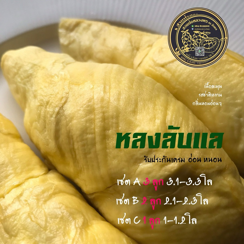 หลงลับแล เกรด A อ.ลับแล จ.อุตรดิตถ์ (จัดเซต) พร้อมส่ง