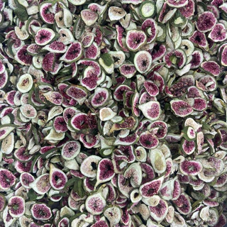 [ZC] มะเดื่อ/ลูกฟิก อบกรอบ Crispy Figs (ผักอบกรอบบำรุงสายตาและเสริมวิตามินสำหรับสัตว์เลี้ยง)
