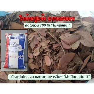 ใบก้ามปู ใบก้ามปูแห้งแบบกระสอบ พร้อมใช้งาน คัดใบล้วน ไม่ปนดิ…