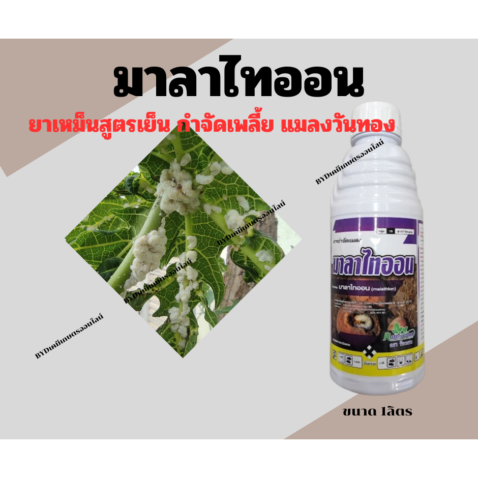 มาลาไทออน ขนาด1ลิตร  สารมาลาไทออน 83%EC(สูตรเย็น) ยาเหม็นกำจัดเพลี้ย หนอน และไล่สัตว์รบกวนในแปลงพืชปลูก ราคา ถูกที่สุด ดีลบีเคเค