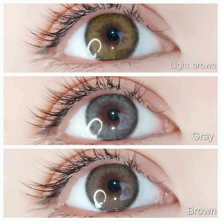 คอนแทคเลนส์ Kitty Kawaii 😍Mini Olivia😍