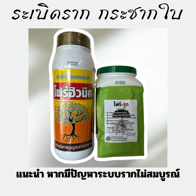 ชุดระเบิดราก โฟร์ฮิวมิก 1 ลิตร+โฟร์รูท 25 กรัม แก้ปัญหาระบบรากเดินไม่ดี รากดินไม่สมบูรณ์ ฟื้นต้นได้ดีมาก