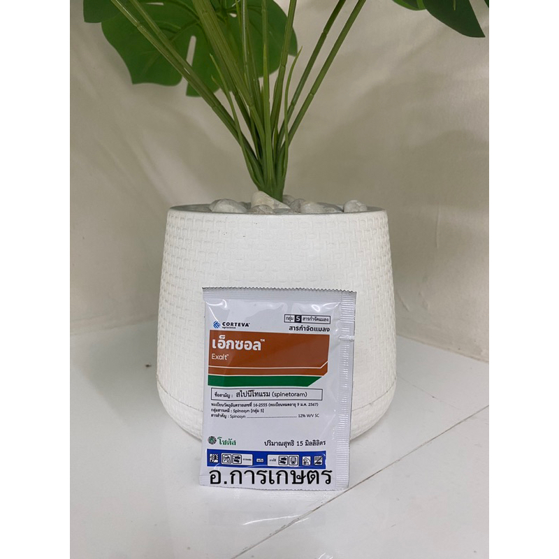 ใช้โค้ตพร้อมกันได้ เอ็กซอล ขนาด 15cc กำจัดหนอน หนอนกอ หนอนห่อใบข้าว หนอนใยผัก หนอนกระทู้หอม เพลี้ยไฟ