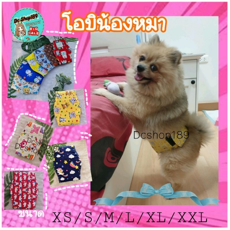 โอบิสุนัขเพศผู้ พร้อมส่ง โอบิสุนัข แผ่นคาดเอวกันฉี่