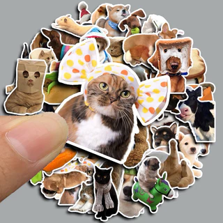 💥จัดส่งไว💥(258)สติกเกอร์ตกแต่งรูปสัตว์เลี้ยงน่ารัก
