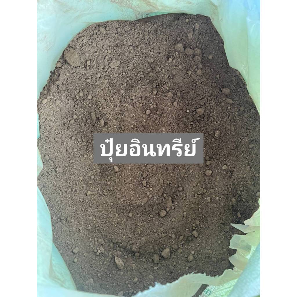 ปุ๋ยอินทรีย์เหมาะสำหรับปลูกผักสลัด