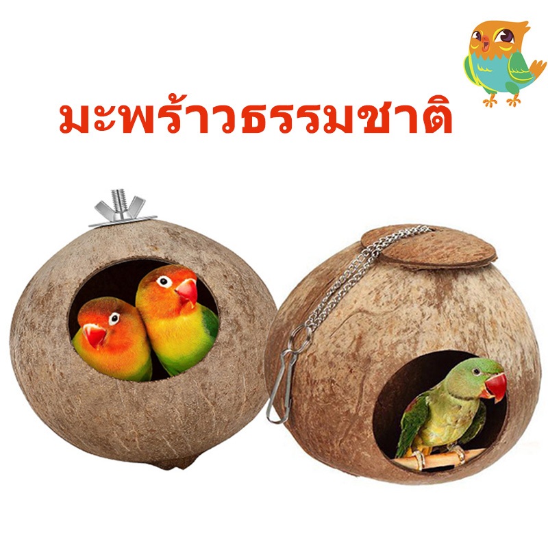บ้านกะลา บ้านนกหงษ์หยก รังนกหงษ์หยก บ้านนก รังนก ที่นอนชูการ์ บ้านกระรอก