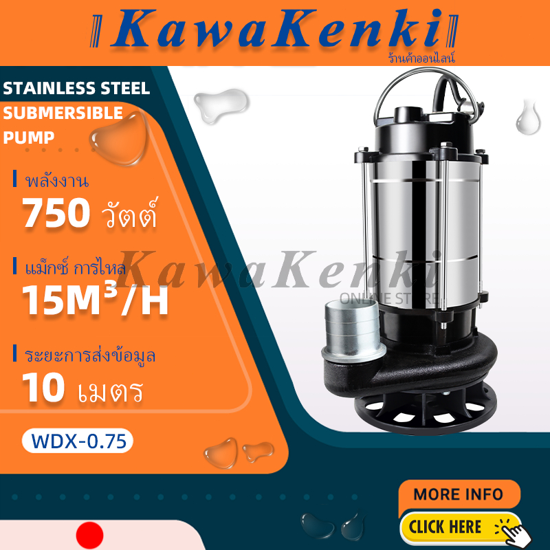 ปั๊มน้ำแบบจมสแตนเลส Kawakenki (ญี่ปุ่น) / ปั๊มน้ำอัตโนมัติ 750W