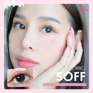 🔥คอนแทคเลนส์✨ขนาดมินิ✨Brown/Gray/Black ✨Mini soff (kittykawaii)