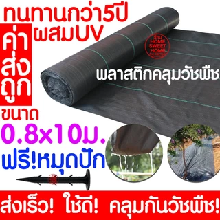 *แถมหมุดปัก* คลุมวัชพืช (ยาว10m) 6-8ปี กำจัดหญ้า พลาสติกคลุมดิน พลาสติกคลุมวัชพืช ผ้าคลุมดิน ผ้าคลุมวัชพืช clearance