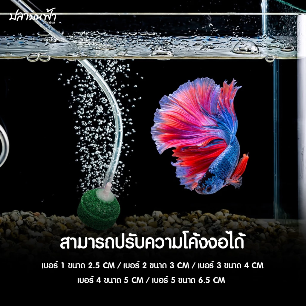 หัวทรายเพิ่มออกซิเจนสำหรับตู้ปลา ตู้กุ้ง สัตว์น้ำทุกชนิด ฟองแรง ออกทุกรู ฟองไม่ใหญ่เกินไป ปลาไม่ตกใจ thumbnail 6