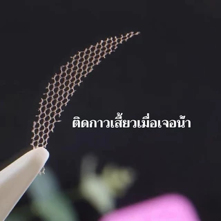 แผ่นติดตาสองชั้นแบบลูกไม้ ตาข่าย ไร้รอย มองไม่เห็น และเกาะติดเมื่อโดนน้ำ สิ่งประดิษฐ์จากธรรมชาติ แผ่นติดตาสองชั้น เป็นธร