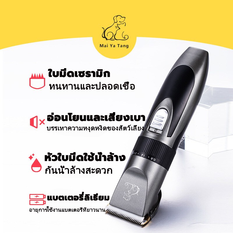 รูปภาพ 6