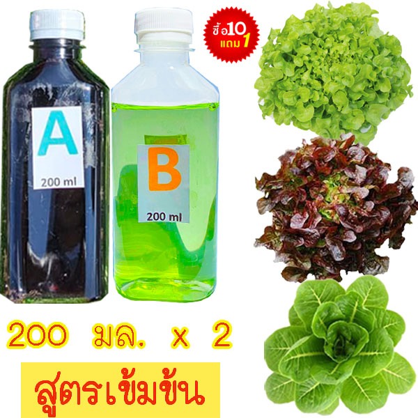 ปุ๋ยAB🎯ถูกที่สุด28บ.🎯ปุ๋ยไฮโดรโปนิกส์200 x 2ขวด🌼ผักสลัด🎈ผักไทย☘️ระบบน้ำนิ่ง🌿น้ำวน🎈แถมฟรีคู่มือการปลูกไฮโดรโปนิคส์