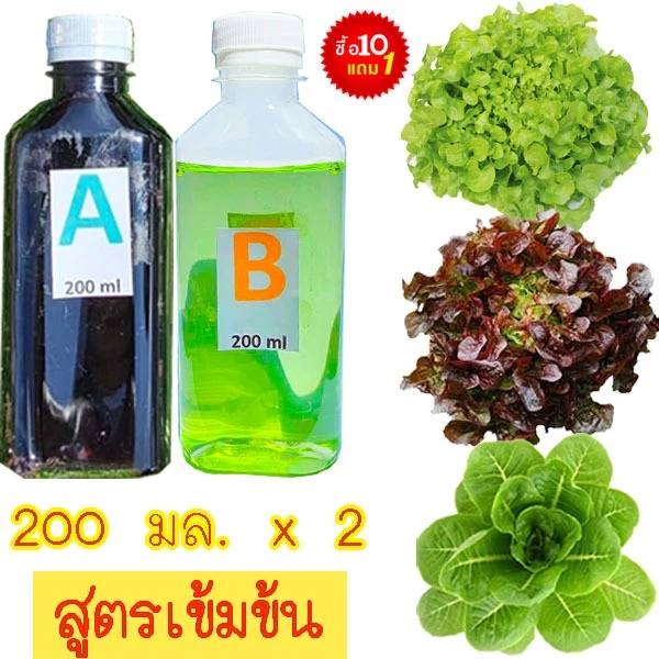 ปุ๋ยAB🎯ถูกที่สุด28บ.🎯ปุ๋ยไฮโดรโปนิกส์200 x 2ขวด🌼ผักสลัด🎈ผักไทย☘️ระบบน้ำนิ่ง🌿น้ำวน🎈แถมฟรีคู่มือการปลูกไฮโดรโปนิคส์