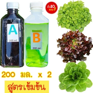 ปุ๋ยAB🎯ถูกที่สุด28บ.🎯ปุ๋ยไฮโดรโปนิกส์200 x 2ขวด🌼ผักสลัด🎈ผักไทย☘️ระบบน้ำนิ่ง🌿น้ำวน🎈แถมฟรีคู่มือการปลูกไฮโดรโปนิคส์